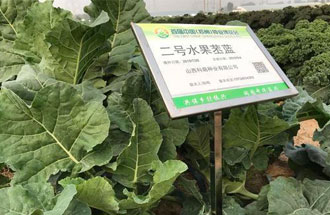 10月23日，中國(guó)（鄭州）種業(yè)博覽會(huì)將在河南省鄭州市中牟縣官渡鎮(zhèn)鄉(xiāng)謠農(nóng)場(chǎng)舉辦